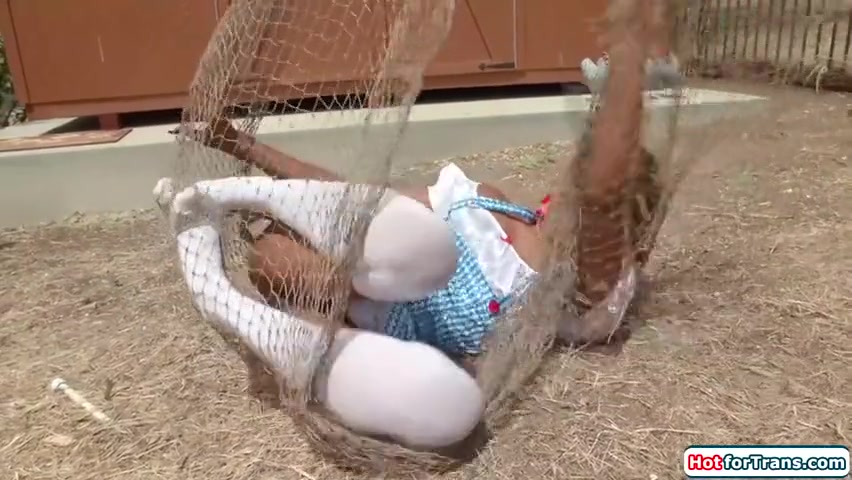 Big T, Destiny Mira And Lola Morena - Tgirl Scarecrow Has A Boner