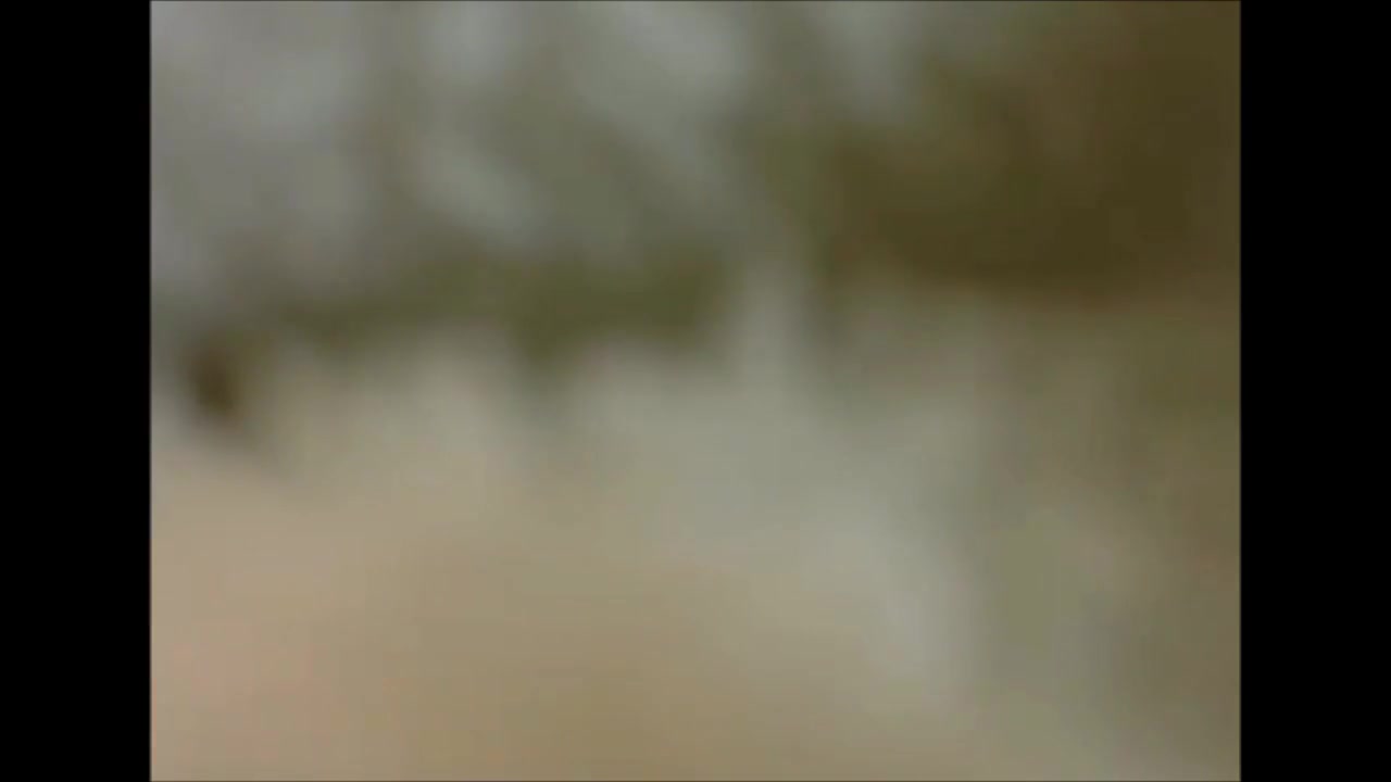 Kathoey Cam 5