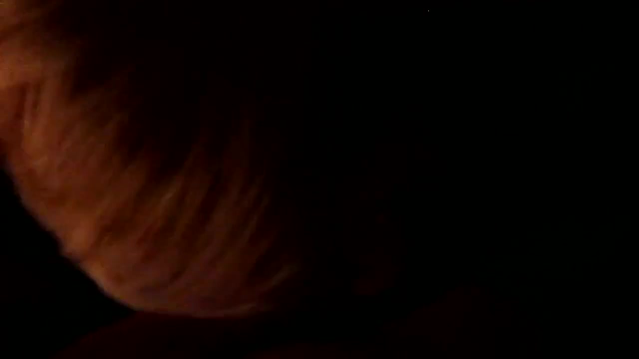 Amateur Shemale Swallow Compilation 2