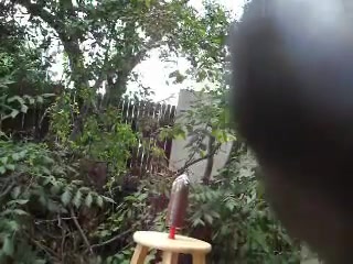 My backyard 2