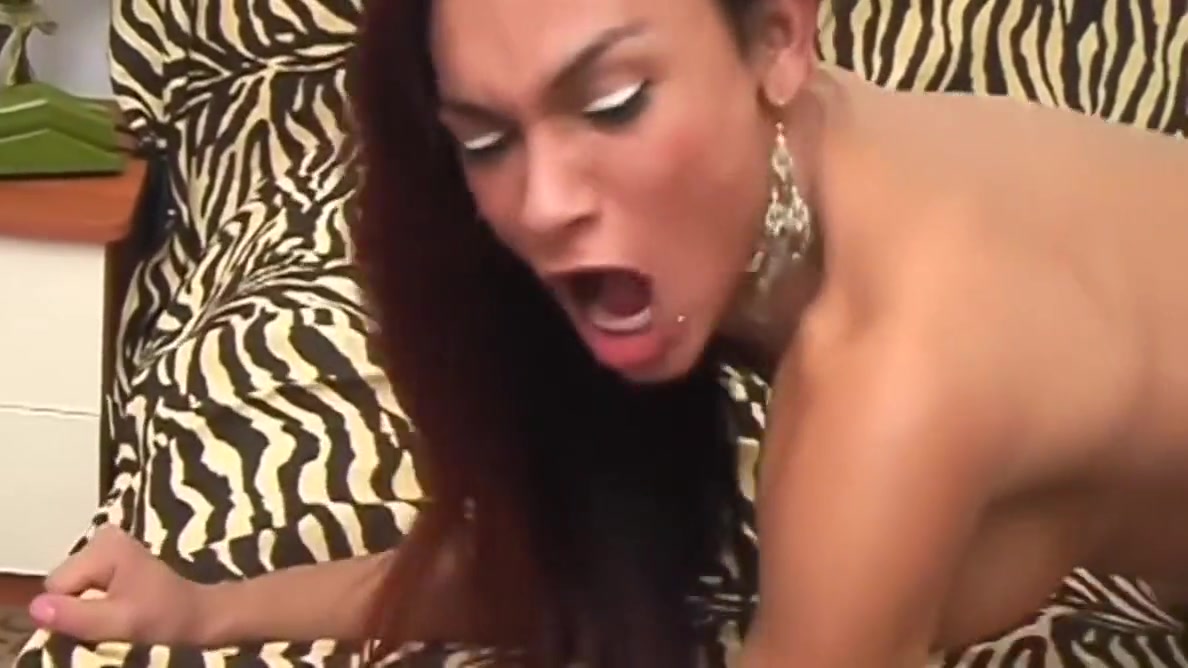 Hard Cock In Transgener Ass With Raissa Melo