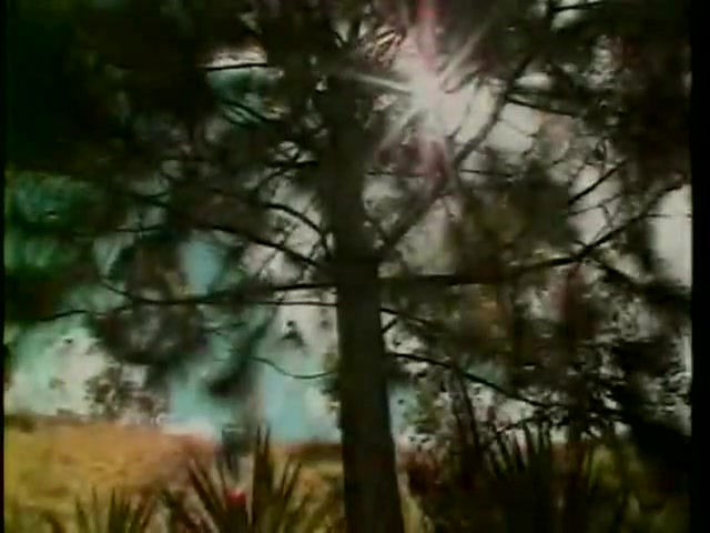 Vintage outdoor shemale fucking