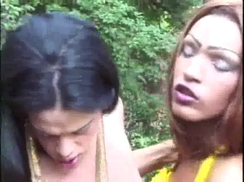 Trans Cocks Fourway In Woods