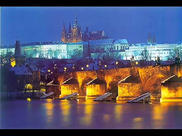 Prague Shemale Agency