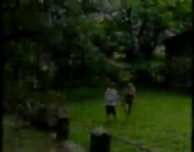 Hot action in the woods