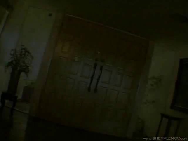 Interracial sucking anf fucking threesome with a hot shemale