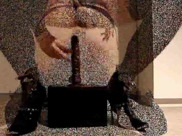 Solo Tranny Toying Butt Gathering Jizz