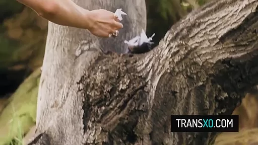 Instead Of Bird Watching Sexy Trans Babe Fucks Busty Cis Girl Siri After Bird Watching 6 Min With Ariel Demure