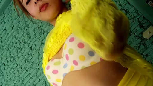 Ladyboy Strokers - HornyShemales