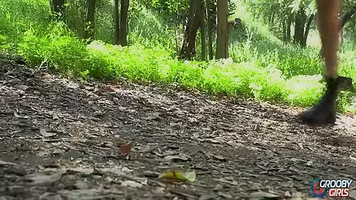 If You Go Down To The Woods Today