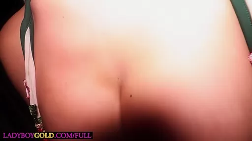 Lin Lin In Busty teen 18+ Ladyboy Shemale Pov Blowjob And Anal Fucked From Behind