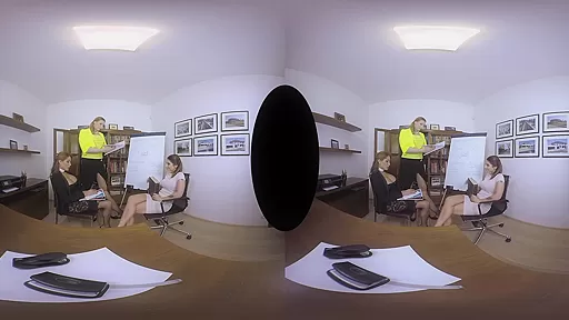 Meeting Mating - TSVirtualLovers