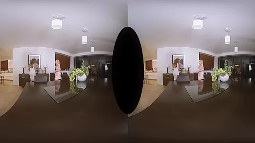 Hot Housekeeping - TSVirtualLovers