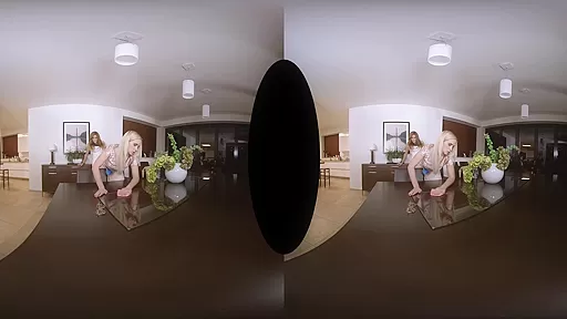 Hot Housekeeping - TSVirtualLovers