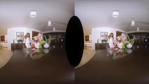 Hot Housekeeping - TSVirtualLovers