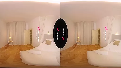 The Couchsurfer - Part 1 - TSVirtualLovers