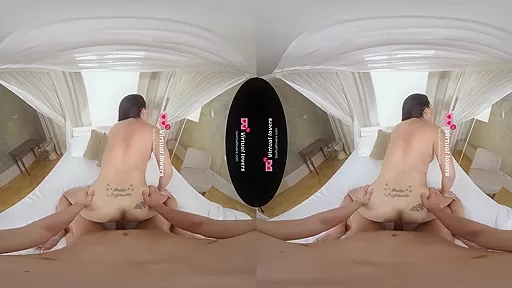 The Couchsurfer - Part 2 - TSVirtualLovers