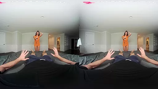 Sex with the Prisoner - TSVirtualLovers