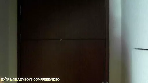 Slim ladyboy strips her leather dress and gets drilled on the couch