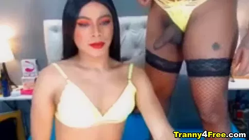 Shemale Couple Dirty Bedroom Cock Sucking