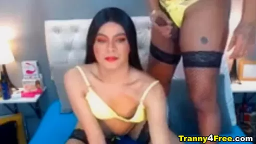 Shemale Couple Dirty Bedroom Cock Sucking