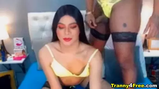 Shemale Couple Dirty Bedroom Cock Sucking