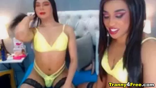 Shemale Couple Dirty Bedroom Cock Sucking