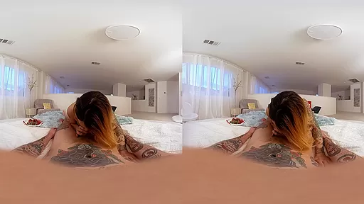 TS Foxxy in Whipped Cream Cocktail - VRBTrans