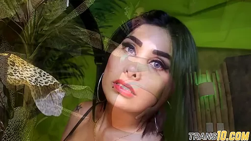 Tranny anally fucked by lovers hard dong