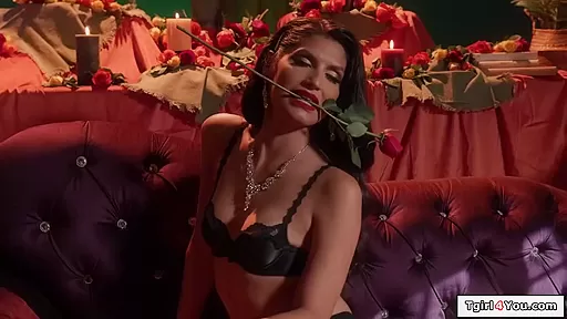 Photographer is pussy licked and fucked by trans Zariah Aura