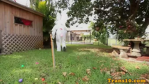 Bigbootied black tgirl cockriding easterbunny