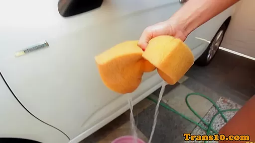 Cocksucking latina trans doggystyled in ass