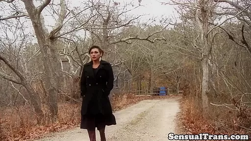 Bigtitted tranny lovingly assfucked