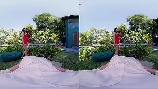 A Single Glance Says It All