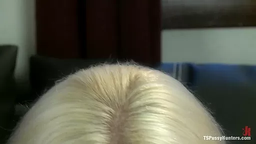 Ts Honey Foxxx Scams a Scammer in Take This Job and Fuck Me