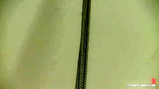 Tied Up Bonnie Made to Suck Ts Cock A Bondage Update