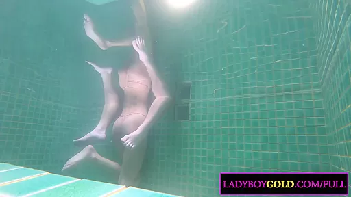 Beautiful shemale from Thailand named Prem blowjob and anal in private pool