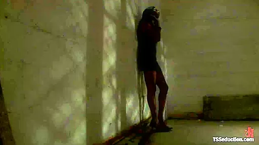 Natassia Dream Lorelei Lee Stalking the Stalker