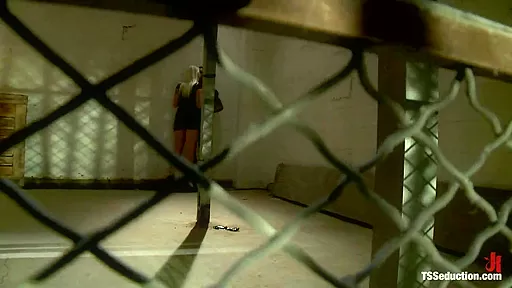 Natassia Dream Lorelei Lee Stalking the Stalker