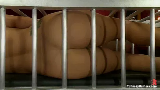 Caged Girl Caged Cock TS Joanna Unleashes her Cock on an Amateur Girl