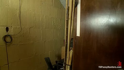 The Feature finale to The MILF double team Fucking the Step daughter in Law