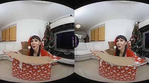 Christmas wish