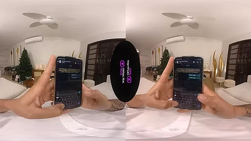 Christmas on VirtualRealTrans: II