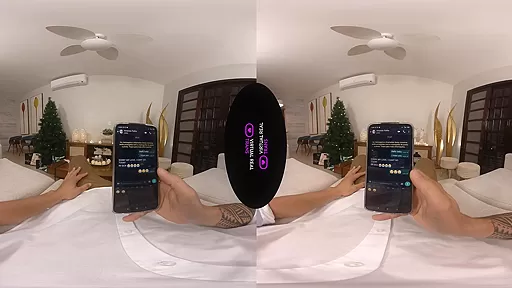 Christmas on VirtualRealTrans: II