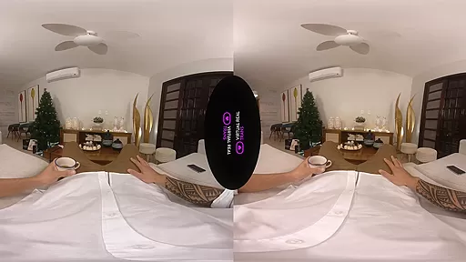 Christmas on VirtualRealTrans: II
