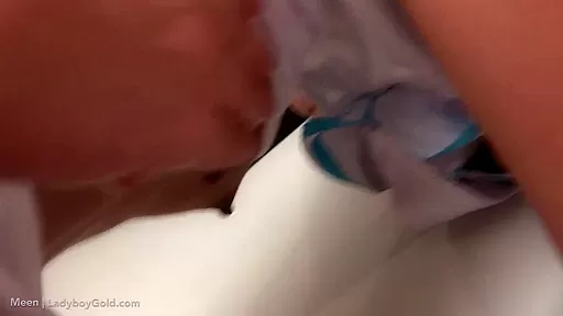 Ladyboy Meen Snack Bareback