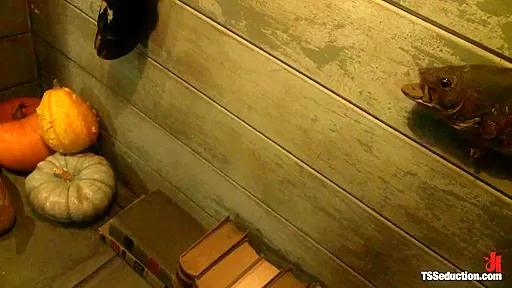 Romantic Cabin turns into A Haunted Sex Dungeon w Ms Toya and her CCOK