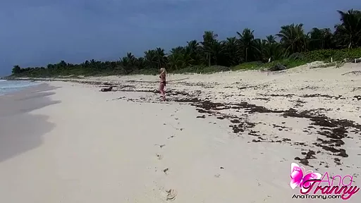 Xelha Beach