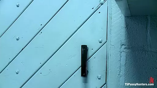Jessica Fox and TS Foxxy Double Team MILF sensation, Simone Sonay