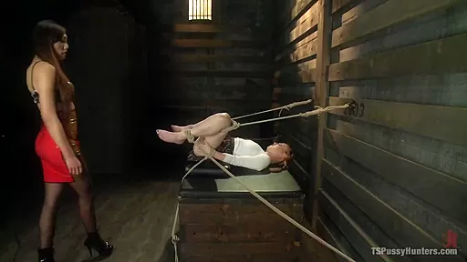 Bound Pussy TS Venus Lux Fucks A tied up Pussy Cums Twice All over Her